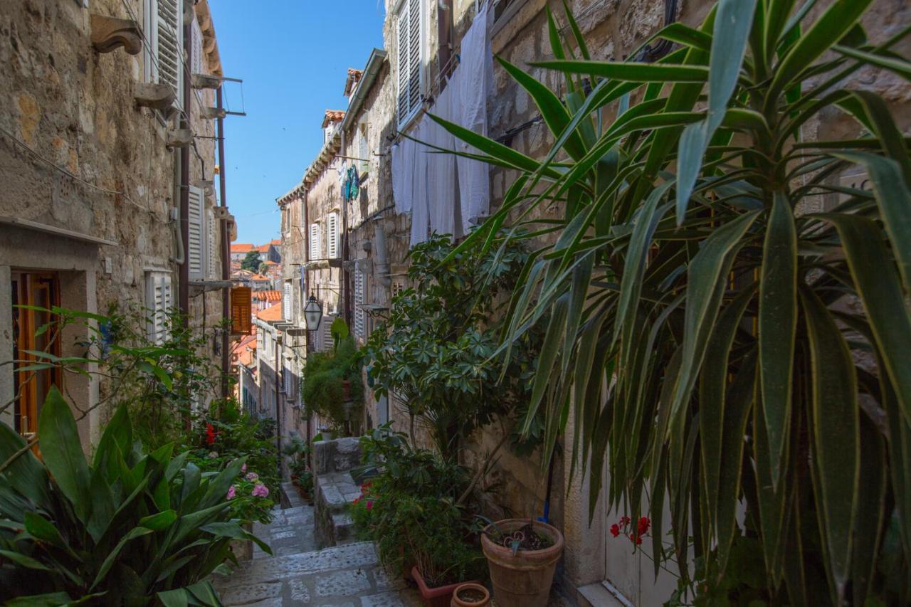 Apartman Mama Marija Dubrovnik Exteriör bild
